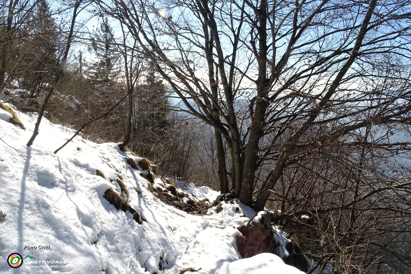 84 Sulla neve pomeridiana si cammina meglio.JPG